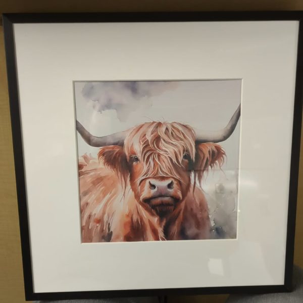 Highland Cow in Black square frame